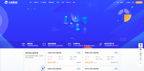 大网数据 网络技术开发与信息咨询的领航者